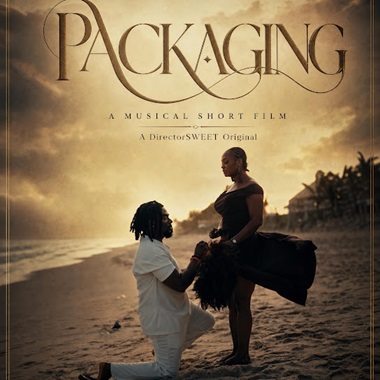 Packaging cover